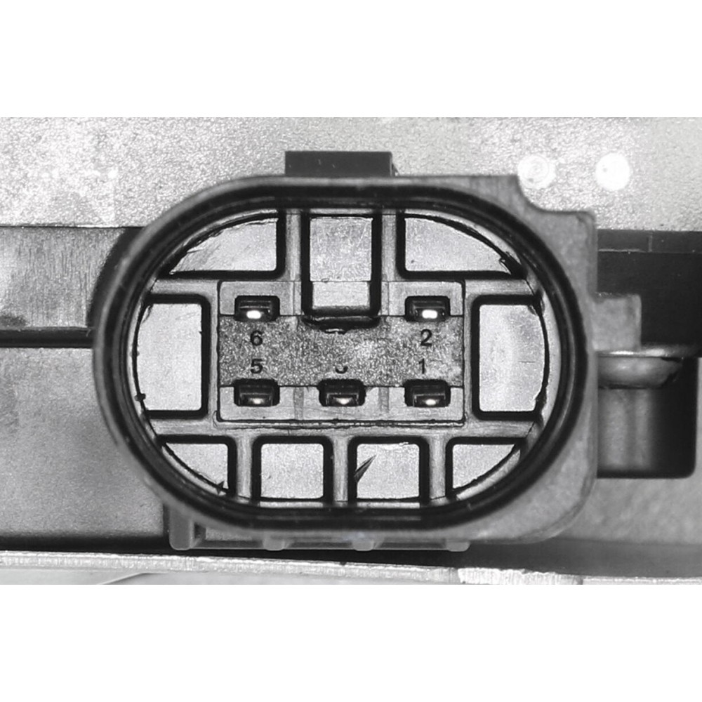 EGR Valve
