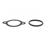 Thermostat, coolant