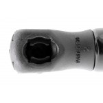 Gas Spring, bonnet