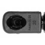 Gas Spring, bonnet