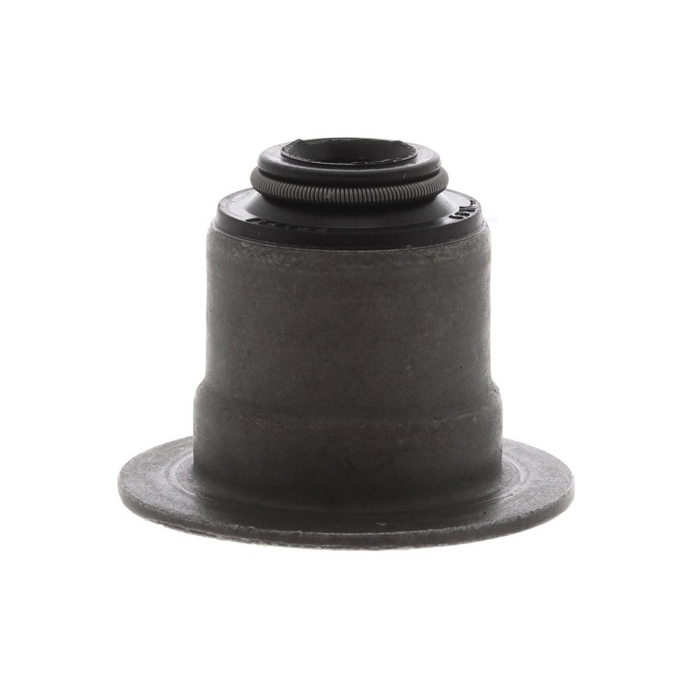 Shaft Seal, differential