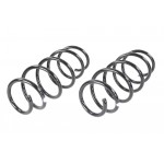 Suspension Kit, springs
