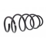 Suspension Kit, springs