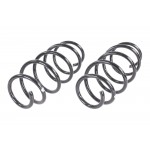 Suspension Kit, springs