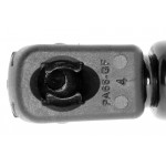 Gas Spring, bonnet