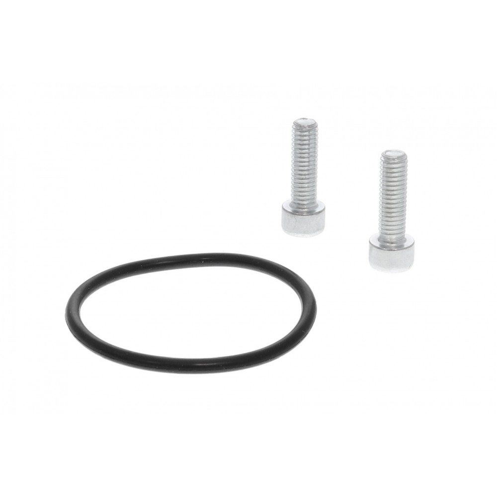 Control Element, parking brake caliper