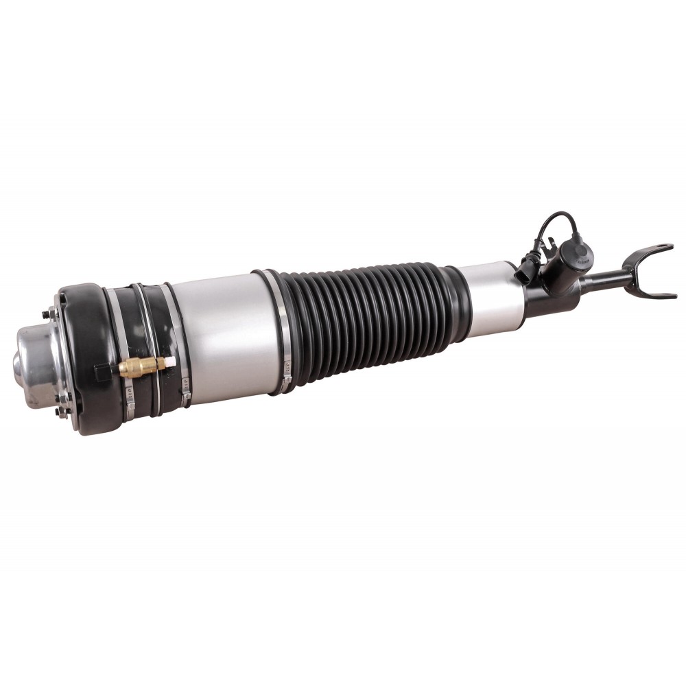 Air Spring Strut
