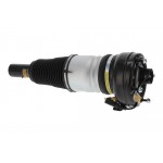 Air Spring Strut
