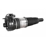 Air Spring Strut