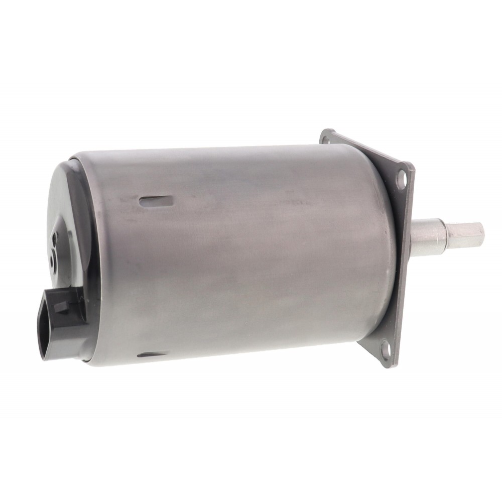 Actuator, exentric shaft (variable valve
