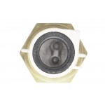 Sensor, intake air temperature