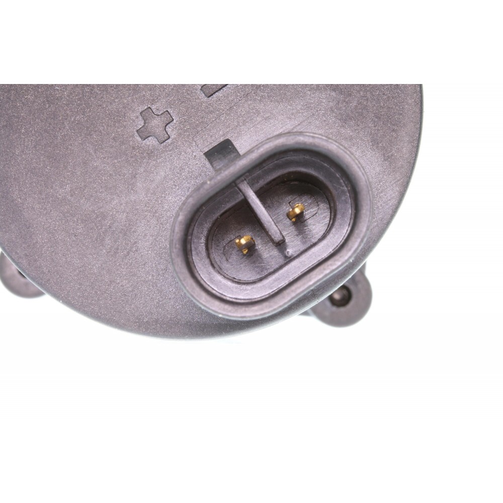 Auxiliary water pump (cooling water circulation)