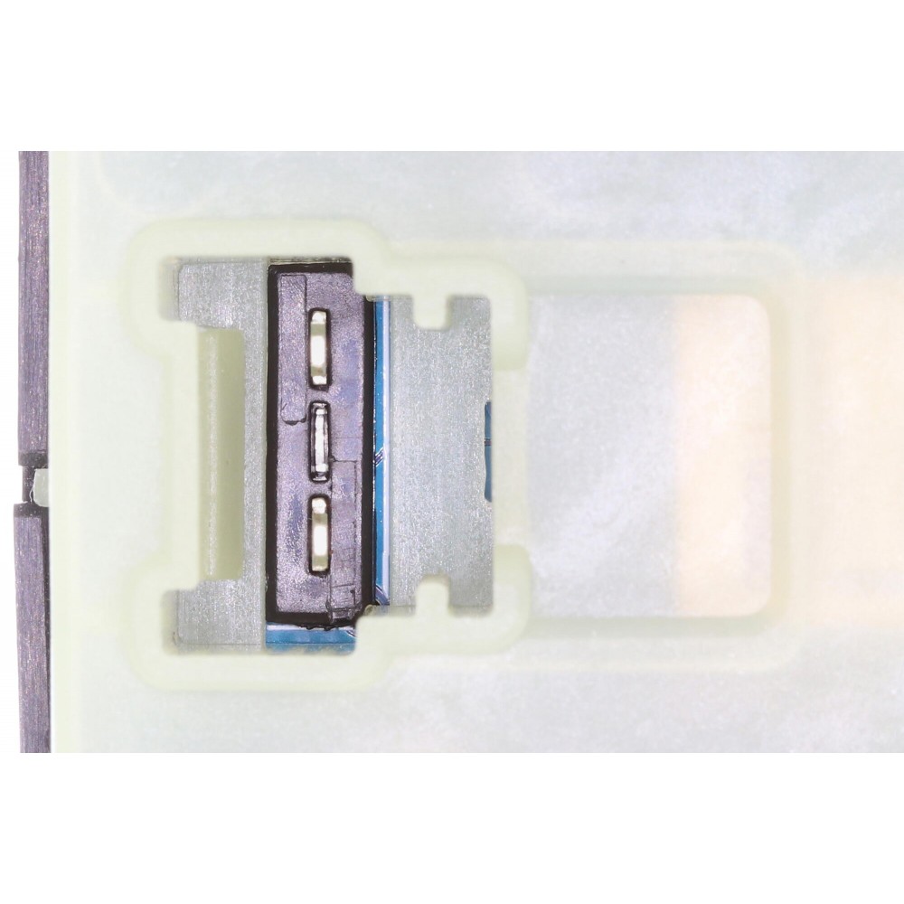 Switch, window regulator
