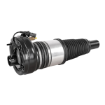 Air Spring Strut