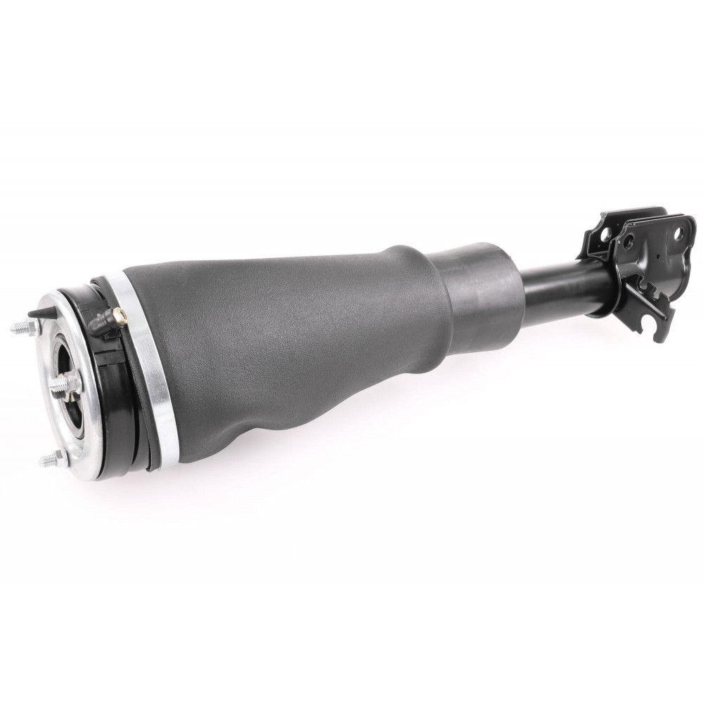 Air Spring Strut