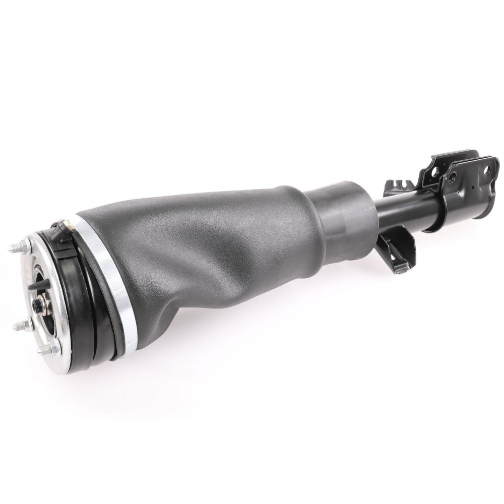 Air Spring Strut