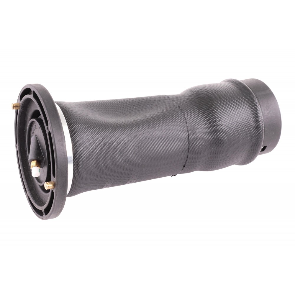 Air Spring Strut