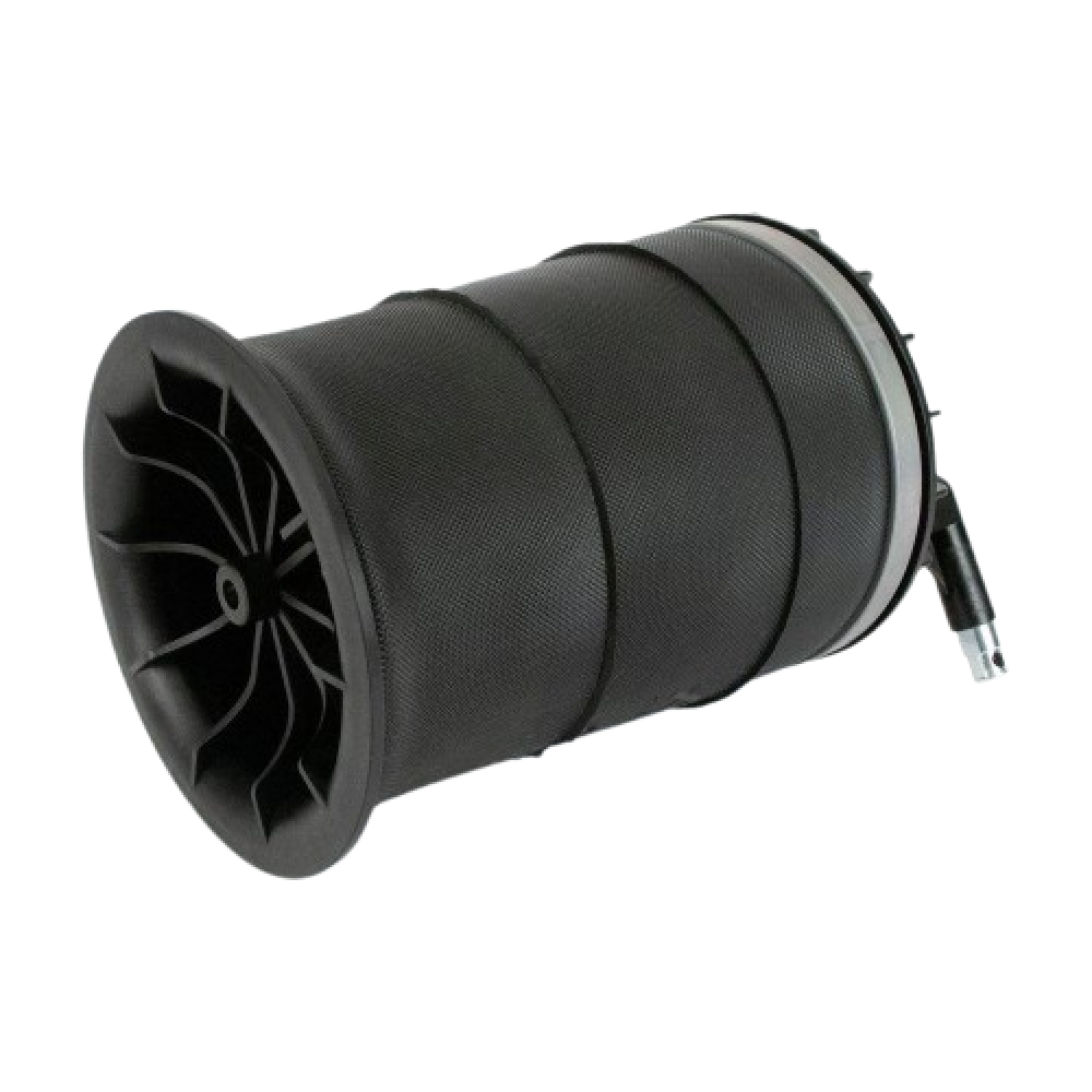 Air Spring Strut