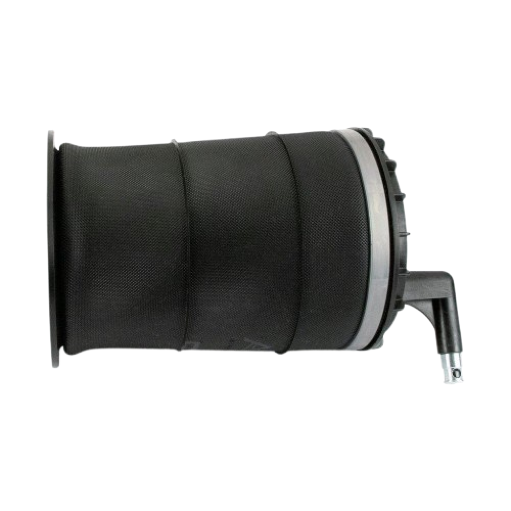 Air Spring Strut